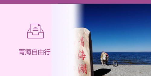 青海旅游服務(wù)